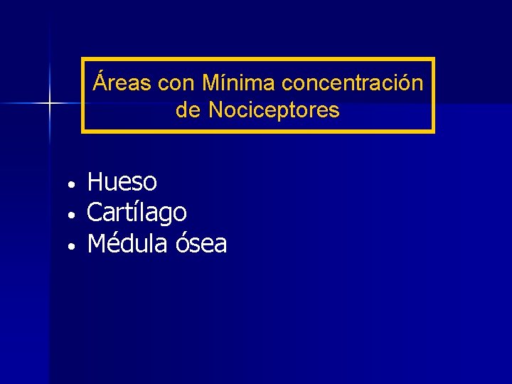 Áreas con Mínima concentración de Nociceptores • • • Hueso Cartílago Médula ósea 