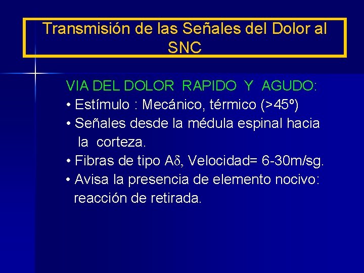 Transmisión de las Señales del Dolor al SNC VIA DEL DOLOR RAPIDO Y AGUDO: