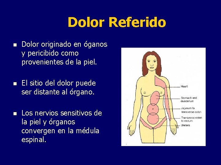 Dolor Referido n Dolor originado en óganos y pericibido como provenientes de la piel.