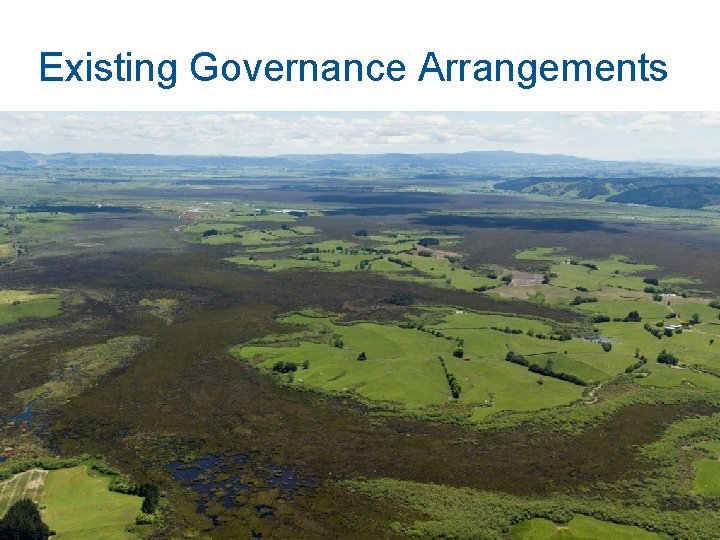 Existing Governance Arrangements 