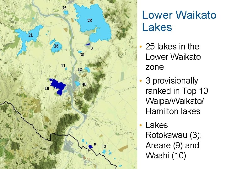 35 Lower Waikato Lakes 28 21 16 • 25 lakes in the 3 Lower