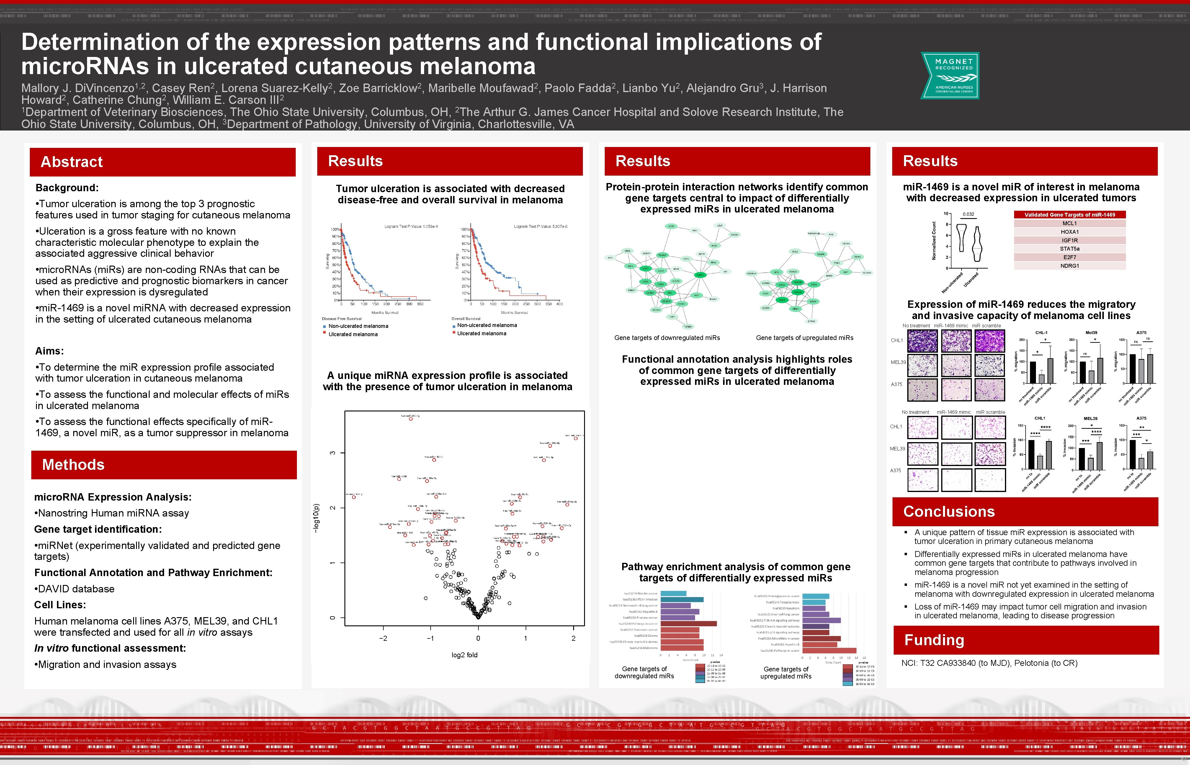 Determination of the expression patterns and functional implications