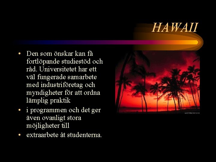 HAWAII • Den som önskar kan få fortlöpande studiestöd och råd. Universitetet har ett