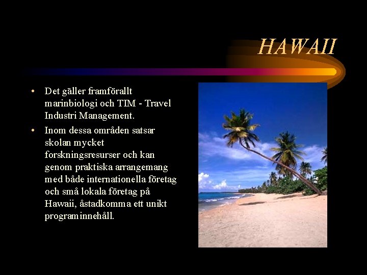 HAWAII • Det gäller framförallt marinbiologi och TIM - Travel Industri Management. • Inom