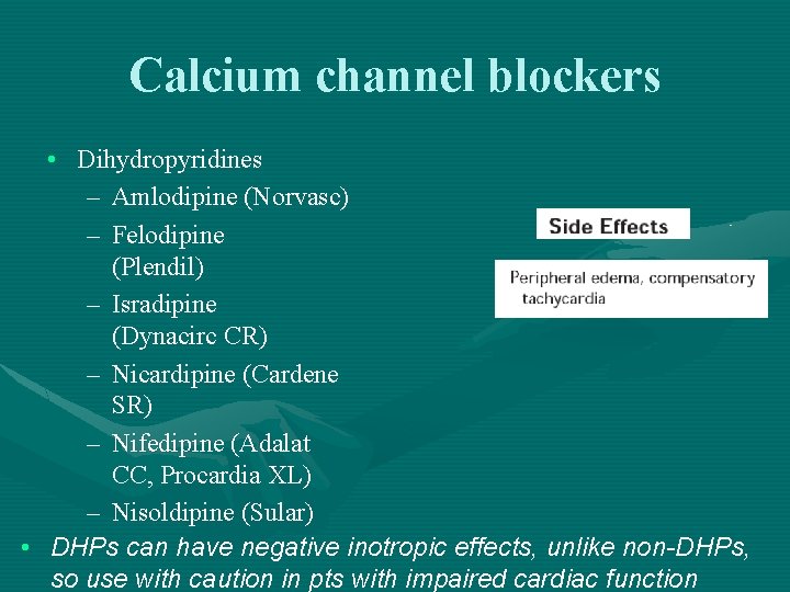 Calcium channel blockers • Dihydropyridines – Amlodipine (Norvasc) – Felodipine (Plendil) – Isradipine (Dynacirc