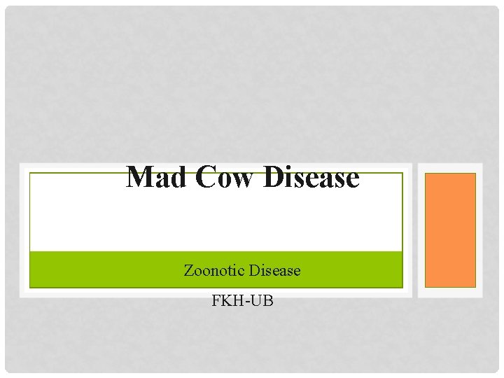 Mad Cow Disease Zoonotic Disease FKH-UB 