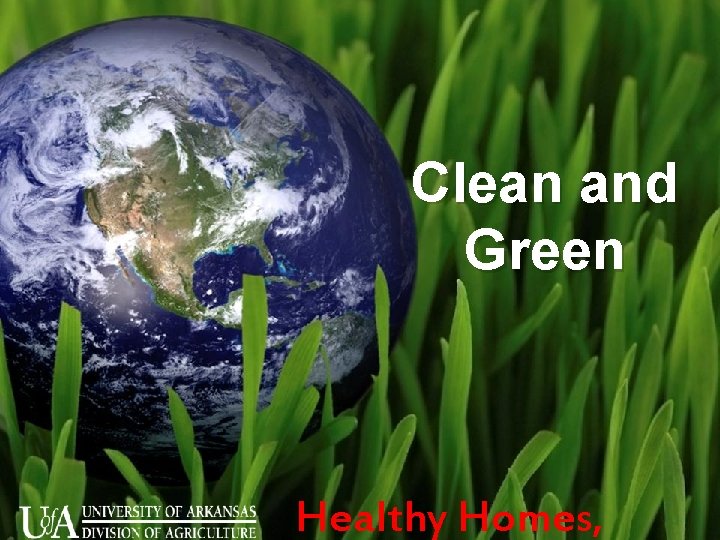 Clean and Green Healthy Homes, 