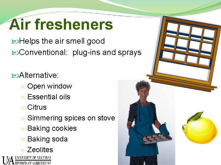 Air fresheners Helps the air smell good Conventional: plug-ins and sprays Alternative: Open window