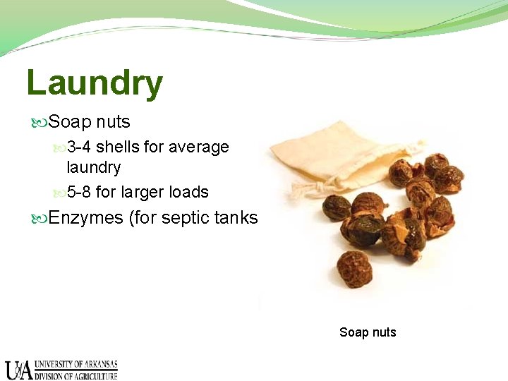Laundry Soap nuts 3 -4 shells for average laundry 5 -8 for larger loads