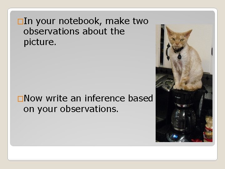 �In your notebook, make two observations about the picture. �Now write an inference based