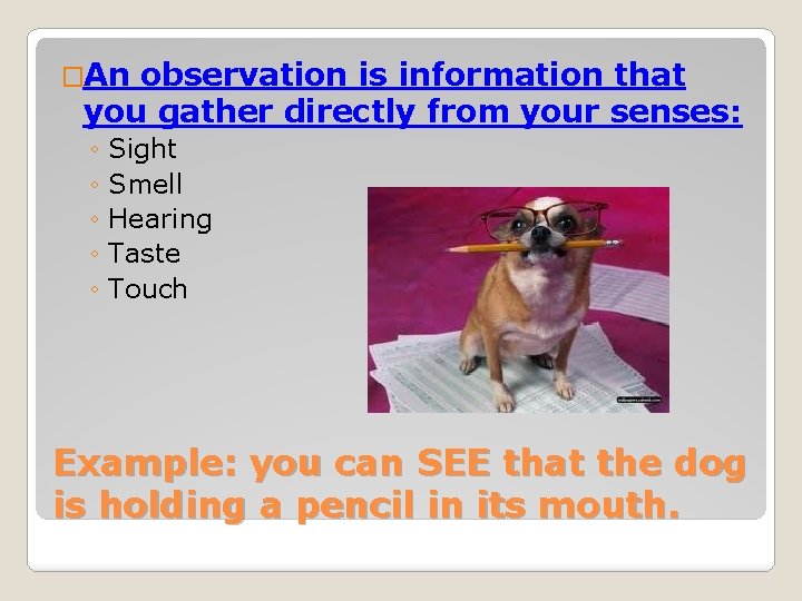 �An observation is information that you gather directly from your senses: ◦ Sight ◦