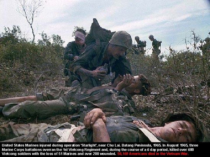 United States Marines injured during operation 'Starlight', near Chu Lai. Batang Peninsula, 1965. In