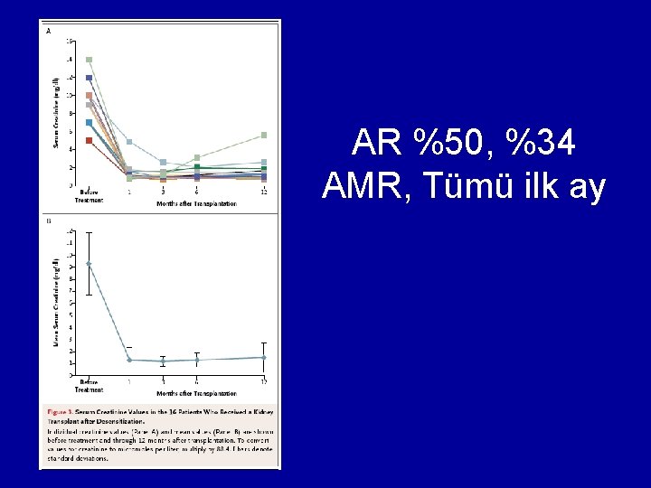 AR %50, %34 AMR, Tümü ilk ay 