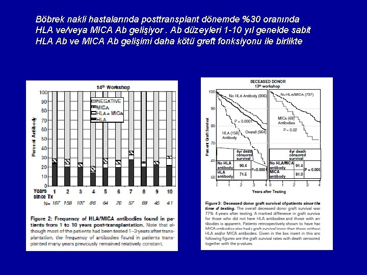 Böbrek nakli hastalarında posttransplant dönemde %30 oranında HLA ve/veya MICA Ab gelişiyor. Ab düzeyleri