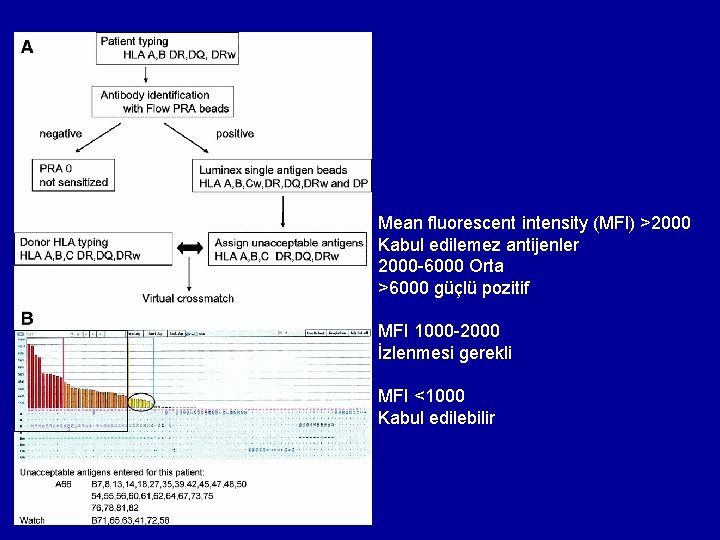 Mean fluorescent intensity (MFI) >2000 Kabul edilemez antijenler 2000 -6000 Orta >6000 güçlü pozitif