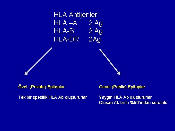 HLA Antijenleri HLA –A : 2 Ag HLA-B: 2 Ag HLA-DR: 2 Ag Özel