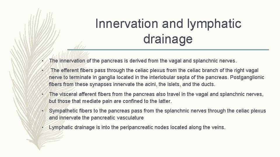 Innervation and lymphatic drainage • The innervation of the pancreas is derived from the
