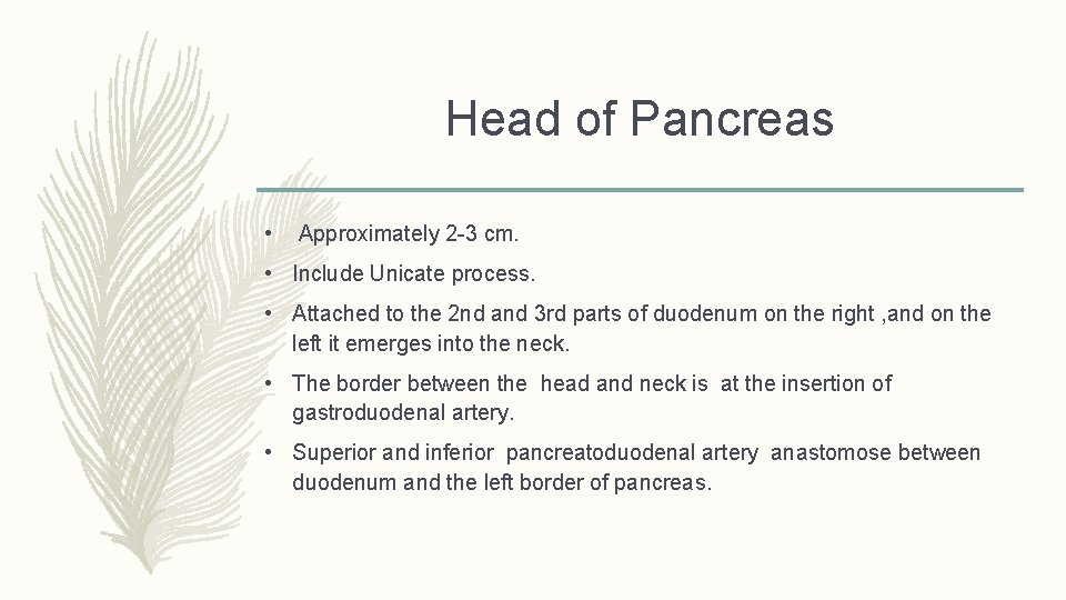 Head of Pancreas • Approximately 2 -3 cm. • Include Unicate process. • Attached