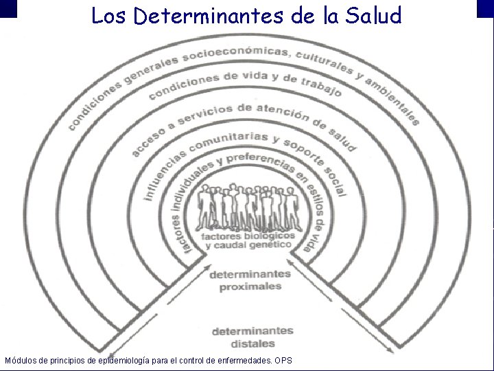 Los Determinantes de la Salud Módulos de principios de epidemiología para el control de