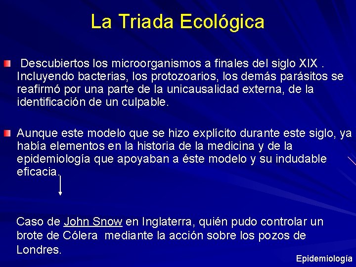 La Triada Ecológica Descubiertos los microorganismos a finales del siglo XIX. Incluyendo bacterias, los