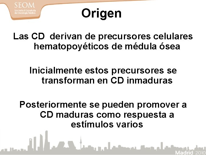 Origen Las CD derivan de precursores celulares hematopoyéticos de médula ósea Inicialmente estos precursores