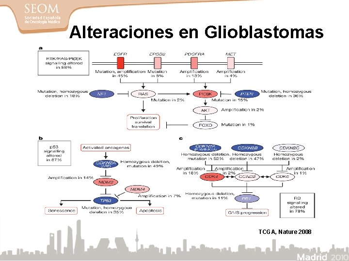 Alteraciones en Glioblastomas TCGA, Nature 2008 