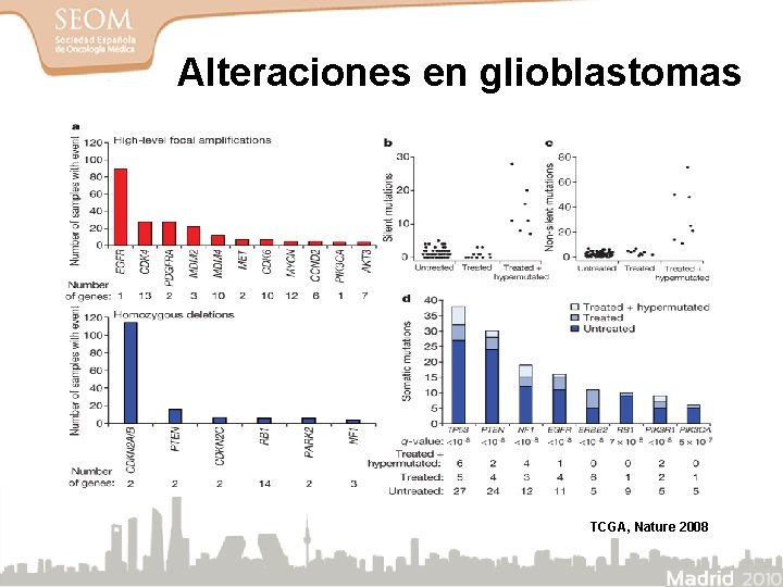 Alteraciones en glioblastomas TCGA, Nature 2008 