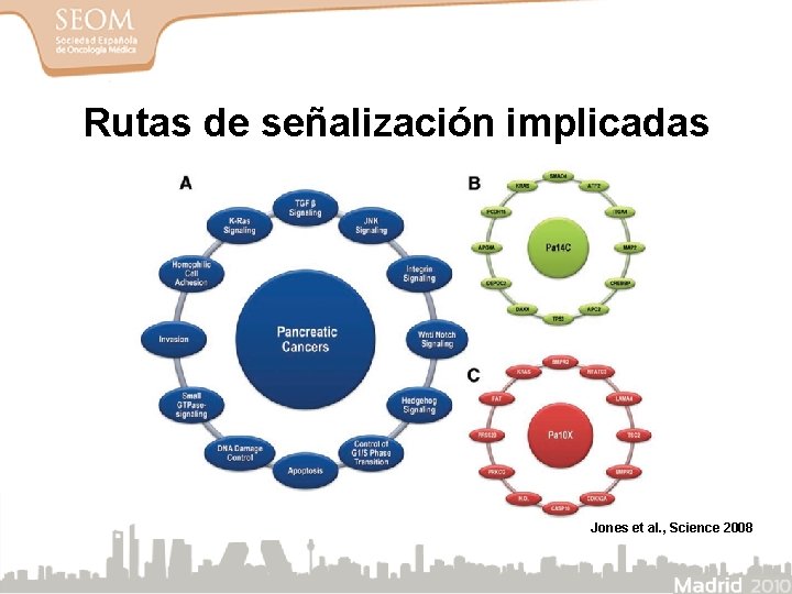 Rutas de señalización implicadas Jones et al. , Science 2008 