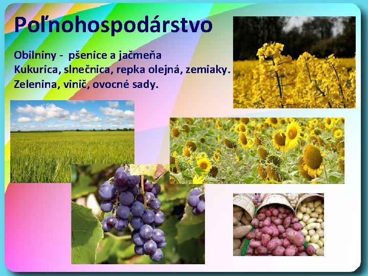 Poľnohospodárstvo Obilniny - pšenice a jačmeňa Kukurica, slnečnica, repka olejná, zemiaky. Zelenina, vinič, ovocné
