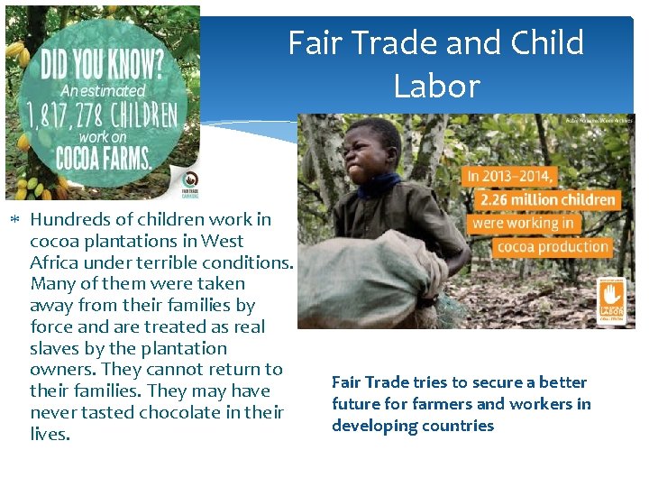 Fair Trade and Child Labor Hundreds of children work in cocoa plantations in West