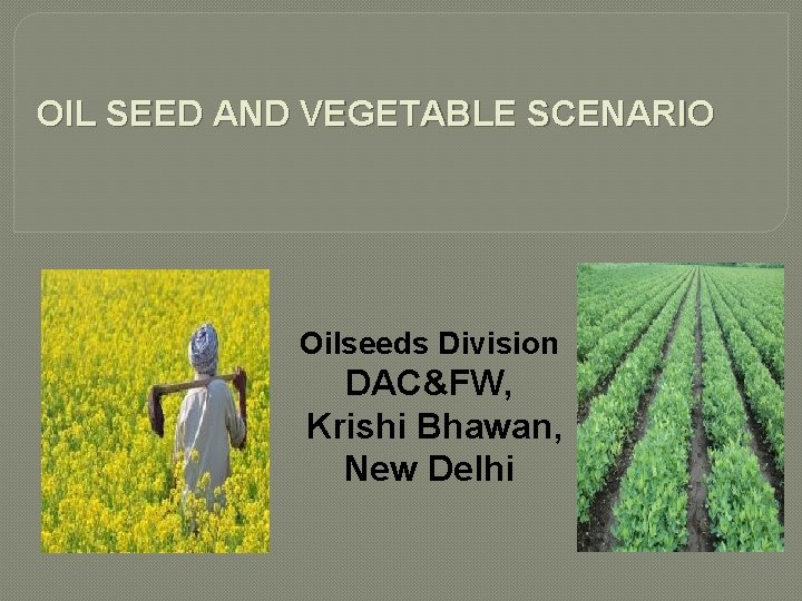 OIL SEED AND VEGETABLE SCENARIO Oilseeds Division DAC&FW, Krishi Bhawan, New Delhi 