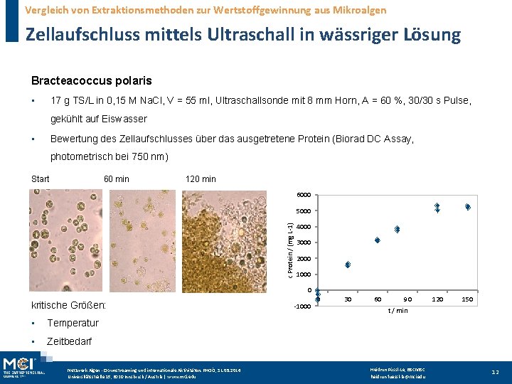 Vergleich von Extraktionsmethoden zur Wertstoffgewinnung aus Mikroalgen Zellaufschluss mittels Ultraschall in wässriger Lösung Bracteacoccus