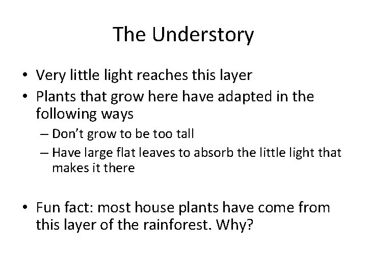 The Understory • Very little light reaches this layer • Plants that grow here