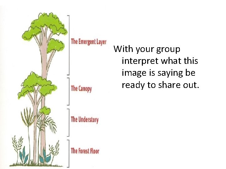 With your group interpret what this image is saying be ready to share out.