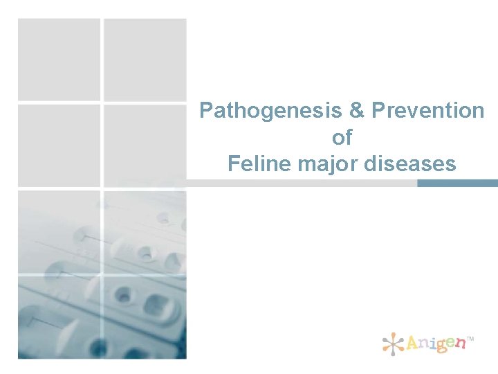 Pathogenesis & Prevention of Feline major diseases 