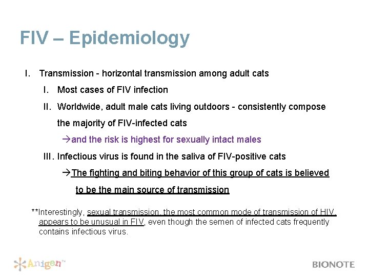 FIV – Epidemiology I. Transmission - horizontal transmission among adult cats I. Most cases