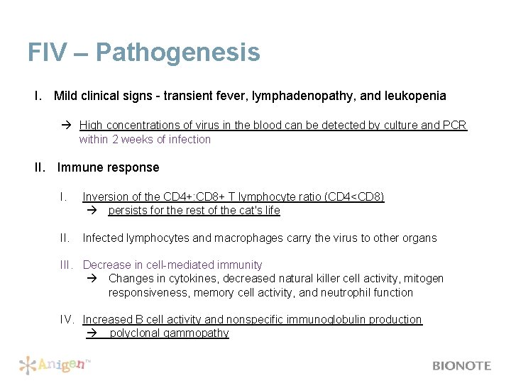 FIV – Pathogenesis I. Mild clinical signs - transient fever, lymphadenopathy, and leukopenia High