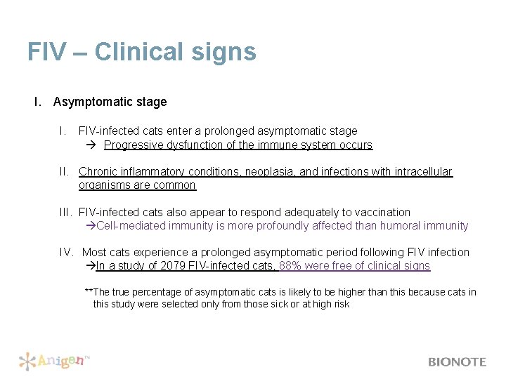 FIV – Clinical signs I. Asymptomatic stage I. FIV-infected cats enter a prolonged asymptomatic