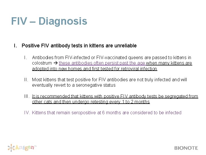 FIV – Diagnosis I. Positive FIV antibody tests in kittens are unreliable I. Antibodies