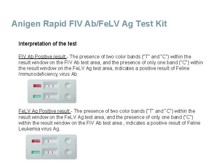 Anigen Rapid FIV Ab/Fe. LV Ag Test Kit Interpretation of the test FIV Ab
