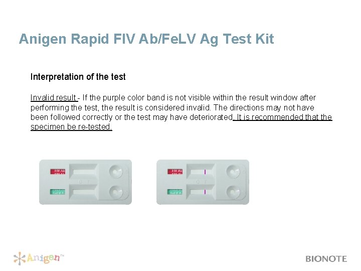 Anigen Rapid FIV Ab/Fe. LV Ag Test Kit Interpretation of the test Invalid result