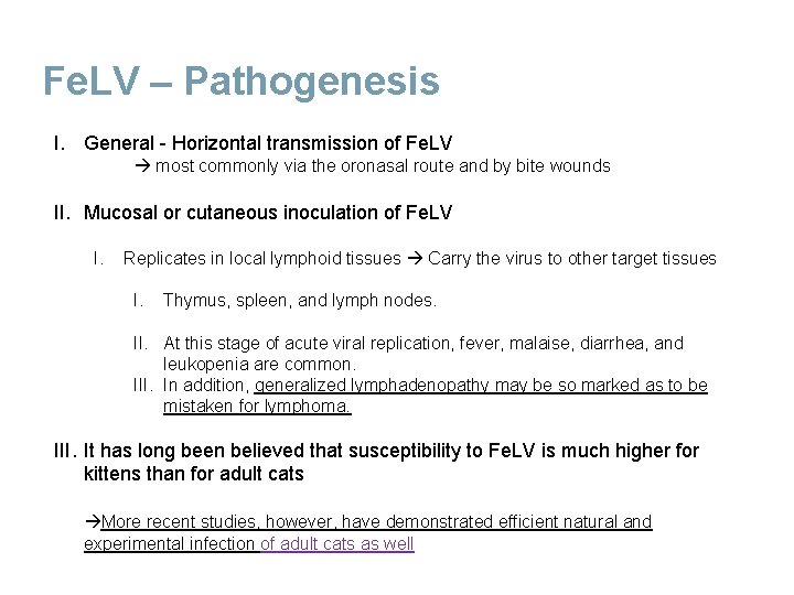 Fe. LV – Pathogenesis I. General - Horizontal transmission of Fe. LV most commonly