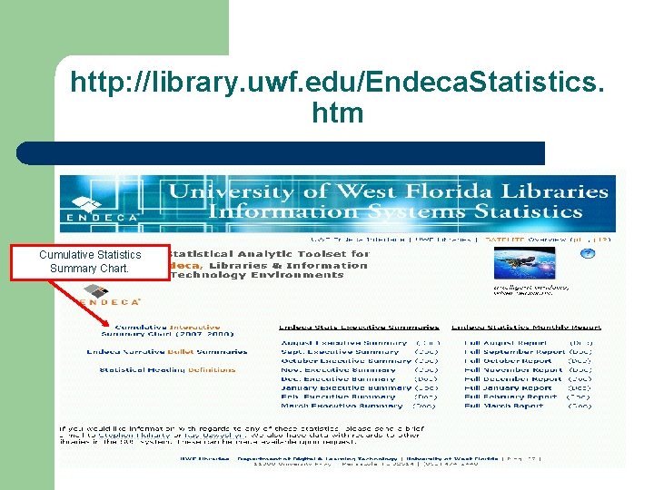 http: //library. uwf. edu/Endeca. Statistics. htm Cumulative Statistics Summary Chart. 