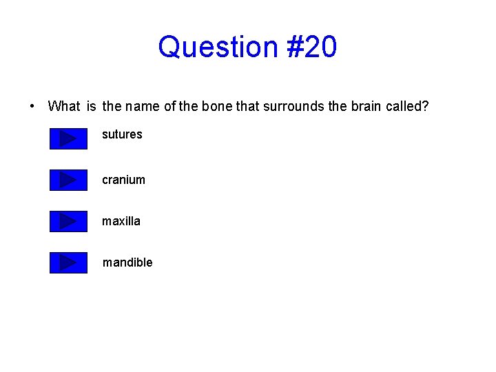 Question #20 • What is the name of the bone that surrounds the brain