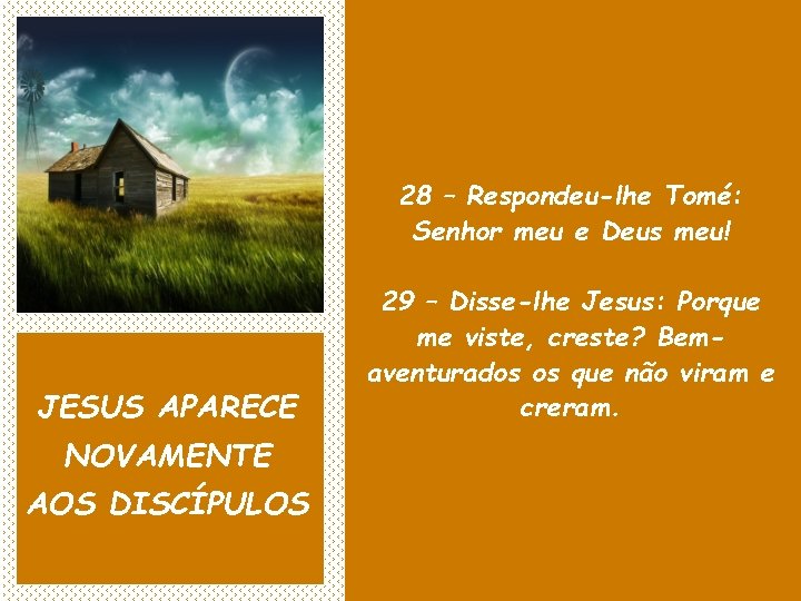 28 – Respondeu-lhe Tomé: Senhor meu e Deus meu! JESUS APARECE NOVAMENTE AOS DISCÍPULOS