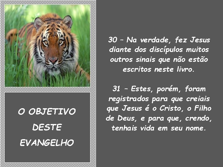 30 – Na verdade, fez Jesus diante dos discípulos muitos outros sinais que não