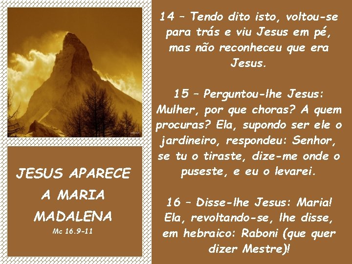 14 – Tendo dito isto, voltou-se para trás e viu Jesus em pé, mas