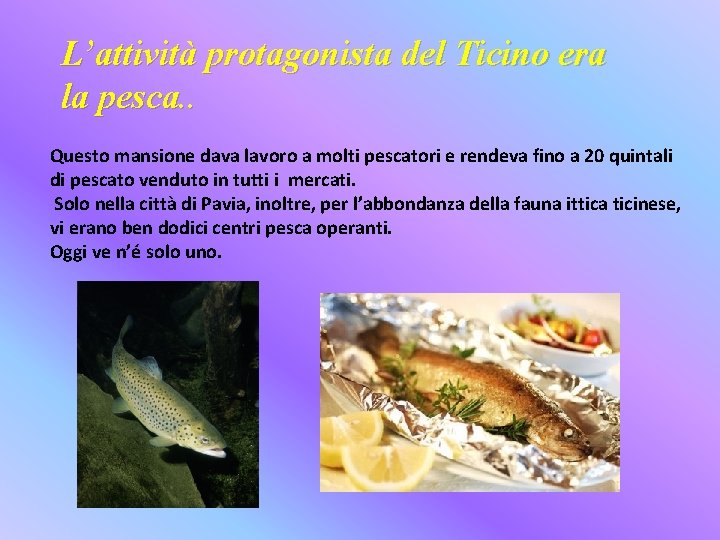 L’attività protagonista del Ticino era la pesca. . Questo mansione dava lavoro a molti