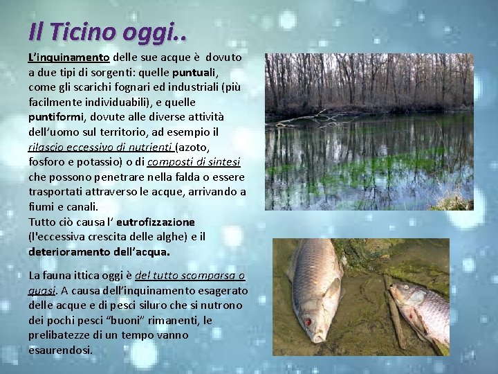 Il Ticino oggi. . L’inquinamento delle sue acque è dovuto a due tipi di