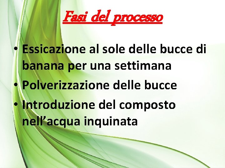 Fasi del processo • Essicazione al sole delle bucce di banana per una settimana